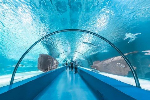 antalya aquarium