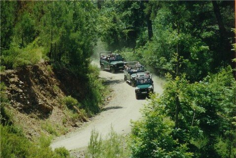 jeep safari